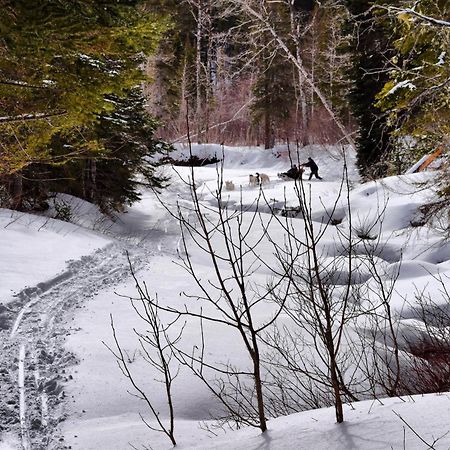 Gite Aux Jardins De L'Anse Percé Zewnętrze zdjęcie