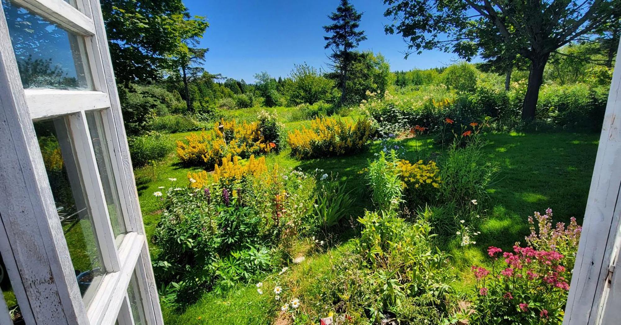 Gite Aux Jardins De L'Anse Percé Zewnętrze zdjęcie