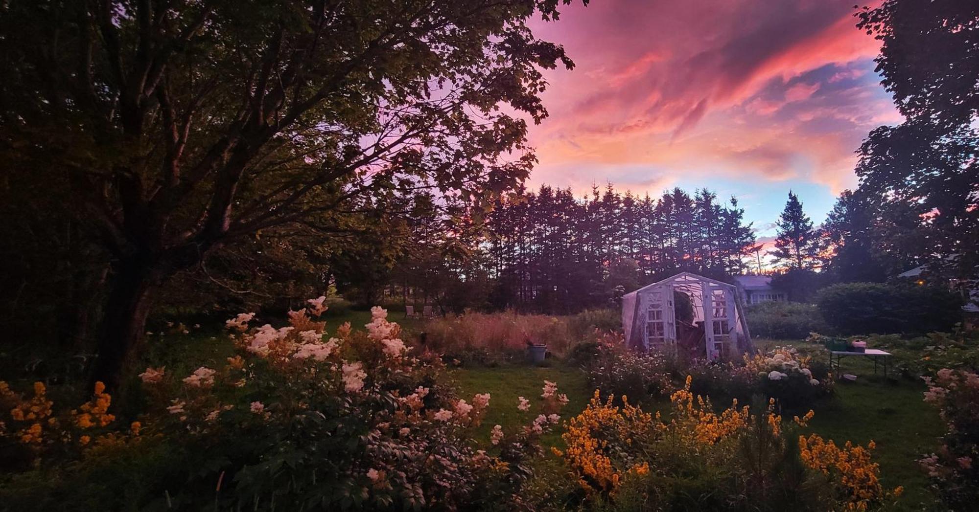 Gite Aux Jardins De L'Anse Percé Zewnętrze zdjęcie