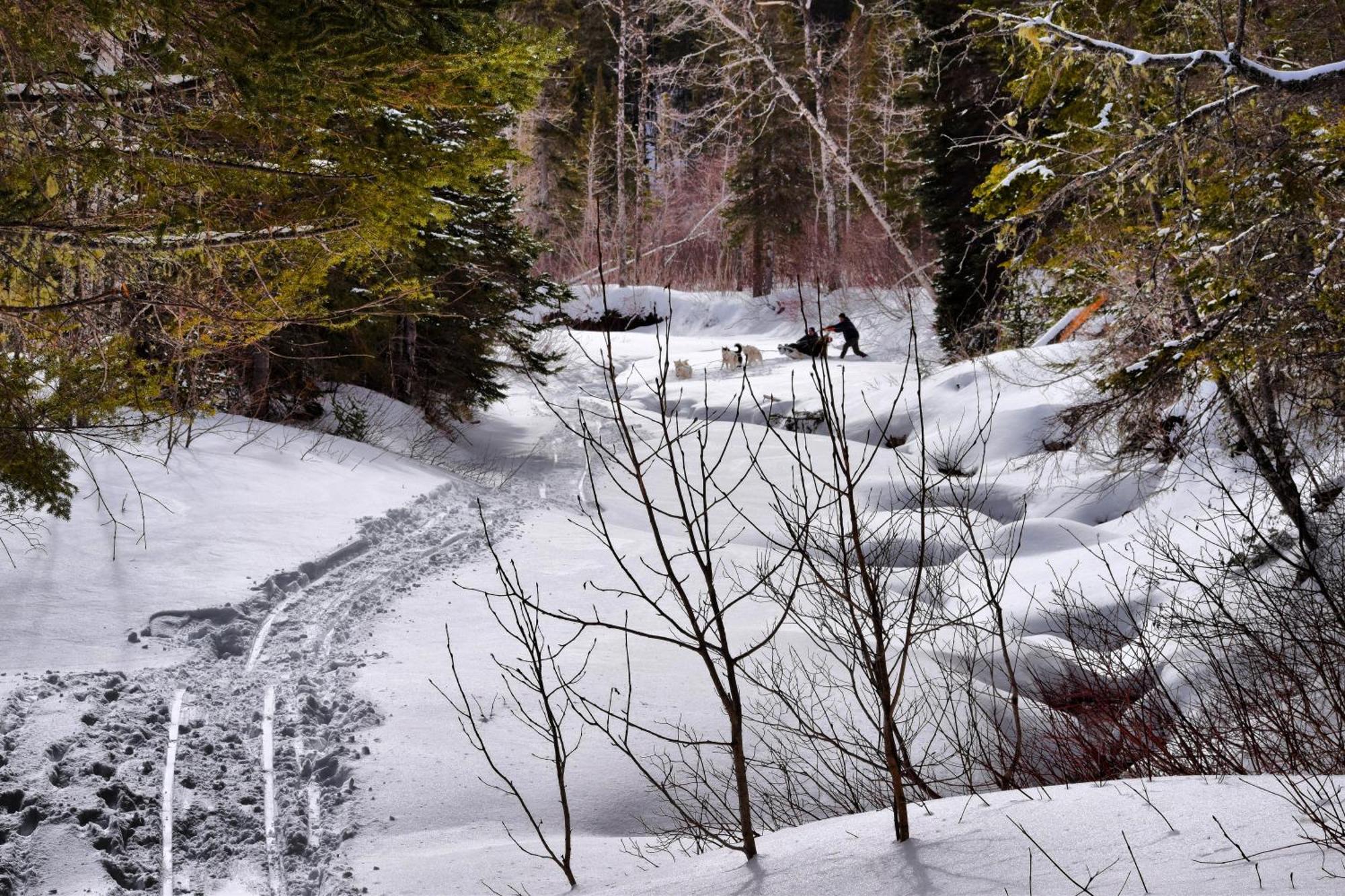 Gite Aux Jardins De L'Anse Percé Zewnętrze zdjęcie