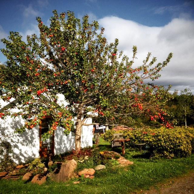 Gite Aux Jardins De L'Anse Percé Zewnętrze zdjęcie