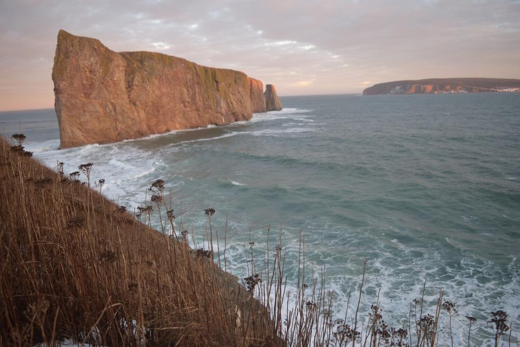 Gite Aux Jardins De L'Anse Percé Zewnętrze zdjęcie