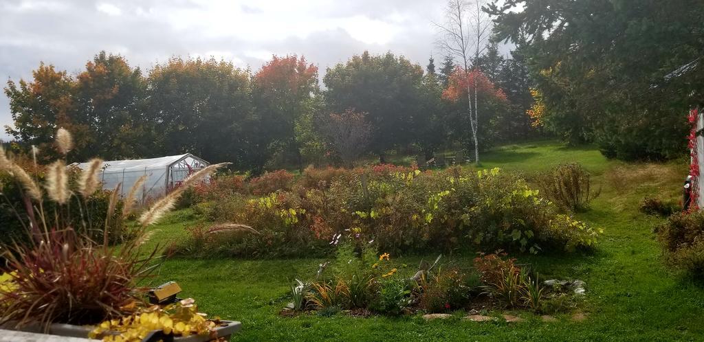 Gite Aux Jardins De L'Anse Percé Zewnętrze zdjęcie